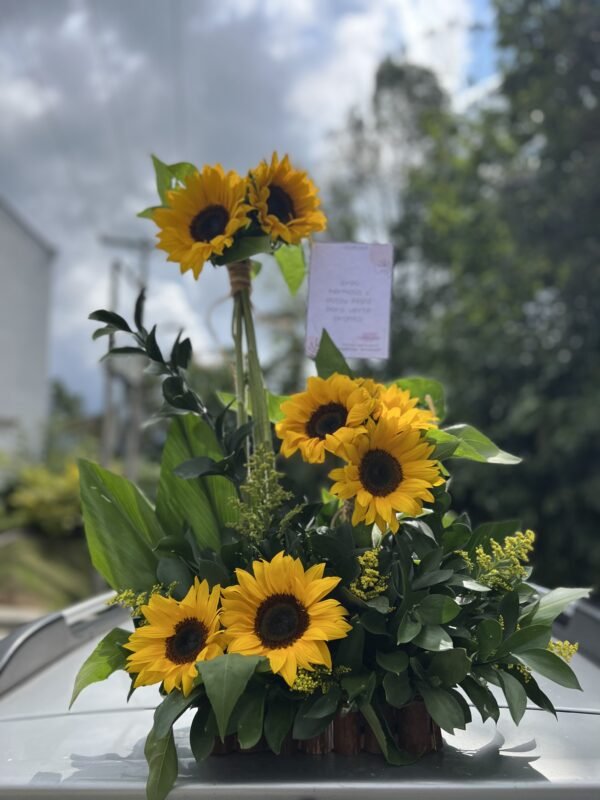 flores manizales